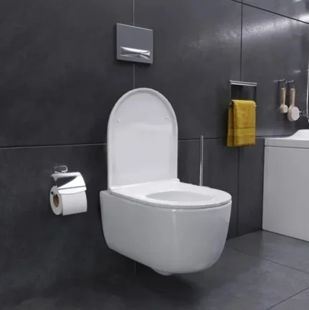 Унитаз подвесной Damixa Sirius DX86C1700SC безободковый, сиденье микролифт, белый