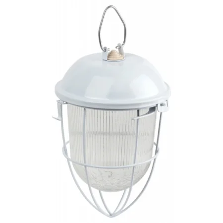 Светильник Желудь с решеткой НСП 02-100-003 Б0052019 Эра