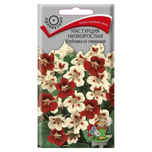 Настурция низкорослая Клубника со сливками 1гр. (Поиск) R7069  1