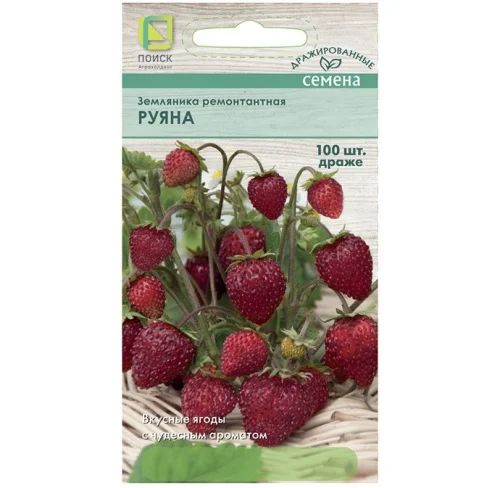 Земляника ремонтантная Руяна драже 100шт. (Поиск) R7983  1