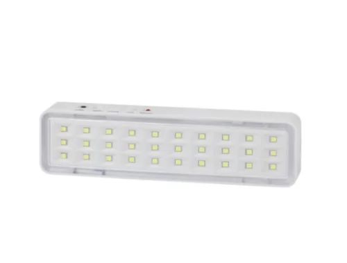 Светильник светодиодный DBA-101-0-20 30LED 5ч IP20 аварийный непостоянный Б0044394 (Эра)  1