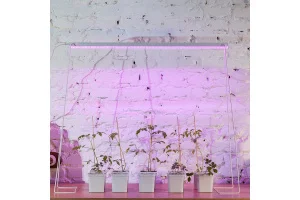 Фито светильник светодиодный для растений 24W 37мкмоль с, алюм пласт, с выкл. L 872мм ULI-P21-24W SP