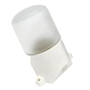 Светильник д/бани НББ 01-60-002 "Лидер" влагожаростойкий стекло и пластик наклонный (Свет) *1