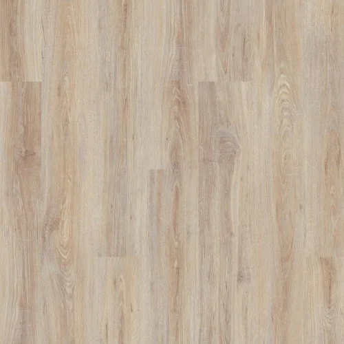 00093875_001