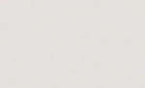 Обои горячего тиснения Erismann 10,05х1,06м Northland фон бежевый 61035-04 *1