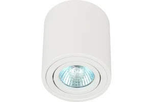 Светильник настенно-потолочный спот OL21 WH MR16/GU10, белый, поворотный Б0054392 (Эра) *1/50