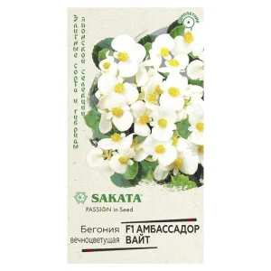 Бегония Амбассадор Вайт F1 вечноцв. 4 шт. пробирка Саката (Гавриш)