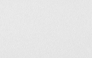 Обои под покраску Белвинил Бриз-11 1,06х10м Обои под покраску Белвинил Бриз-11 1,06х10м