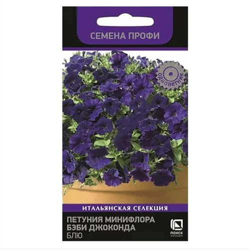 Петуния минифлора Бэби Джоконда Блю 10шт. (Поиск) R6327  1 10