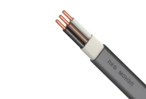 Кабель ВВГ-Пнг(А)-LS 3Х1.5ок(N.PE)-0.660 ТРТС (м) 6206176 (Монэл ПКФ)  1 100