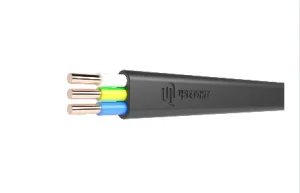 Кабель ВВГ-Пнг(A)-LS 3х2,5ок(N, PE)-0,66 ТРТС (м) 5876354 (Цветлит) *1