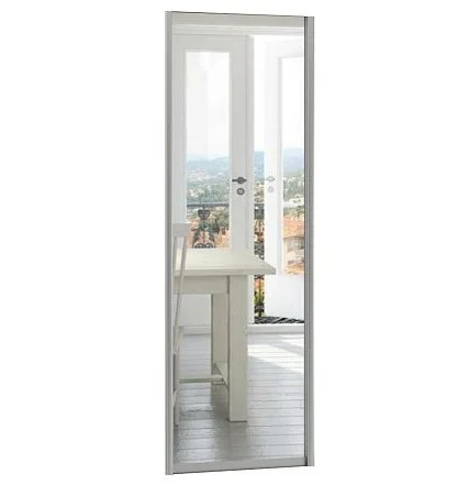 Дверь-купе С эконом матовое серебро Зеркало серебро 2650 805мм