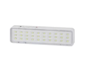 Светильник светодиодный аварийный непостоянный DBA-101-0-20 Б0044394 ЭРА