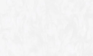 Обои горячего тиснения Arabesca 10,05х1,06м PL71930-14  1 8