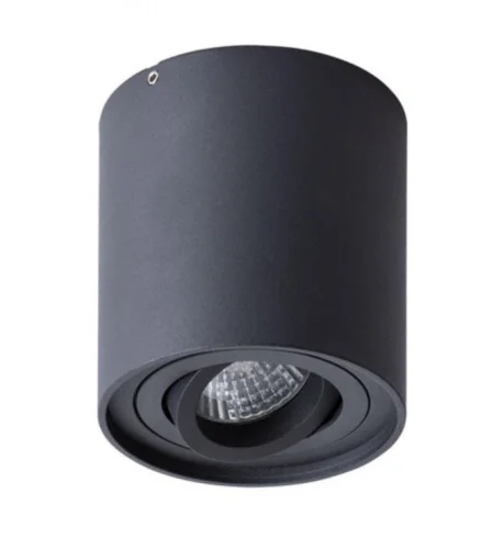 Светильник потолочный A5645PL-1BK FALCON (Arte Lamp)  1