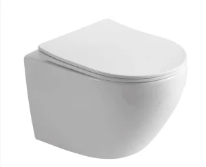 Унитаз подвесной OLIVE’S Plaza PL30116DP безободковый, сиденье микролифт