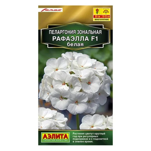 Пеларгония Рафаэлла F1 белая  5шт (Аэлита)