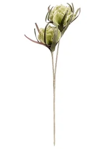 Цветок из фоамирана "Хризантема летняя", В 1000 мм *1