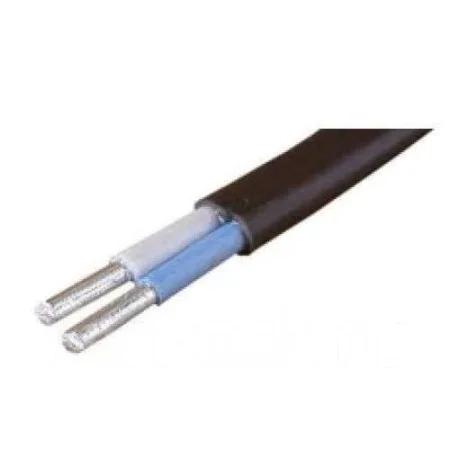 Кабель АВВГ-П 2х4.0 Ч ОК 0.66кВ (м) ФР-00000418 (Альгиз К)  1