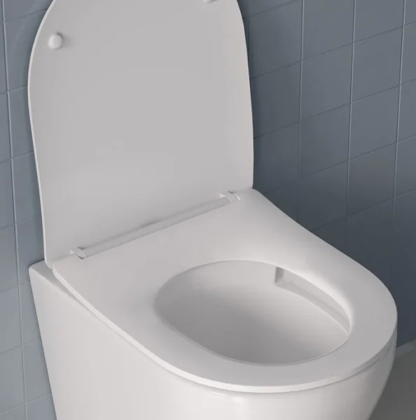 Сиденье для унитаза Iddis Soft Close Easy Fix 006DPSEi31 дюропласт