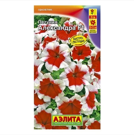 Петуния Александра F1 крупноцветковая, драже  7шт (Аэлита)