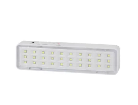 Светильник светодиодный DBA-101-0-20 30LED 5ч IP20 аварийный непостоянный Б0044394 (Эра)  1
