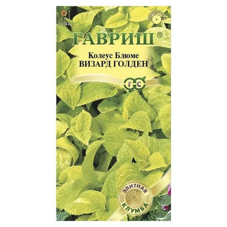Колеус Визард Голден* 5 шт. Элитная клумба (Гавриш)
