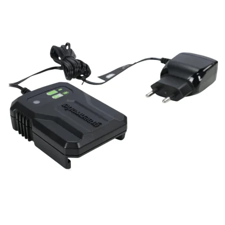 Зарядное устройство Greenworks G40UCM2M 40В 2A 2946507  1