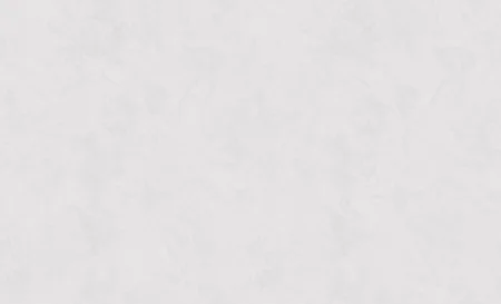 Обои горячего тиснения Erismann 10,05х1,06м Stephanie фон серый 61023-04 *1