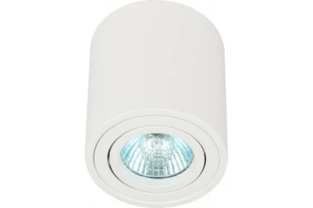 Светильник настенно-потолочный спот OL21 WH MR16/GU10, белый, поворотный Б0054392 (Эра) *1/50