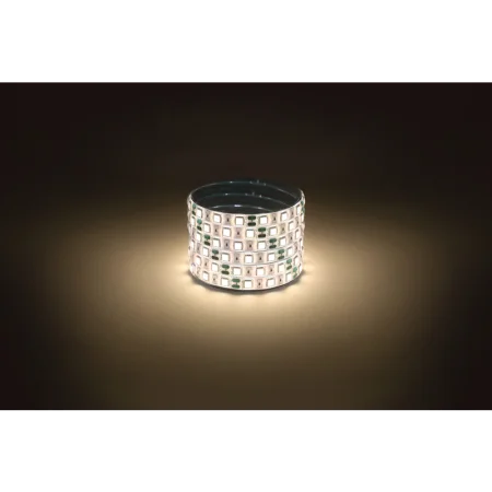 Лента светодиодная LS5050 -14,4-60-12-3000K-IP65-1 year-5m Б0059912 Эра