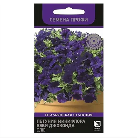 Петуния минифлора Бэби Джоконда Блю 10шт. (Поиск) R6327  1 10
