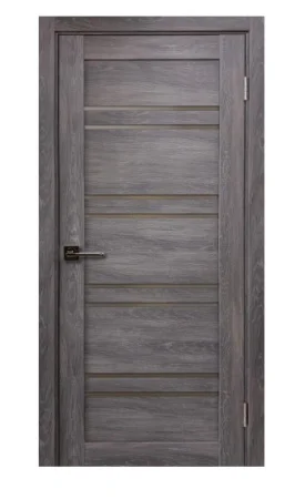 Полотно дверное Х1 дуб шале серебро/стекло сатин *800