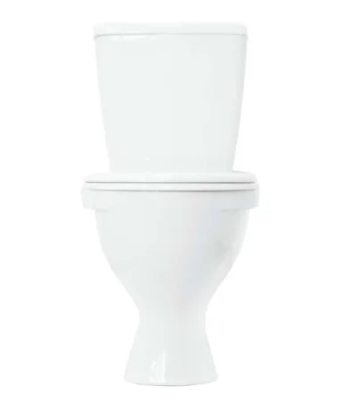 Унитаз-компакт Sanita Эталон ETLSACC01090113