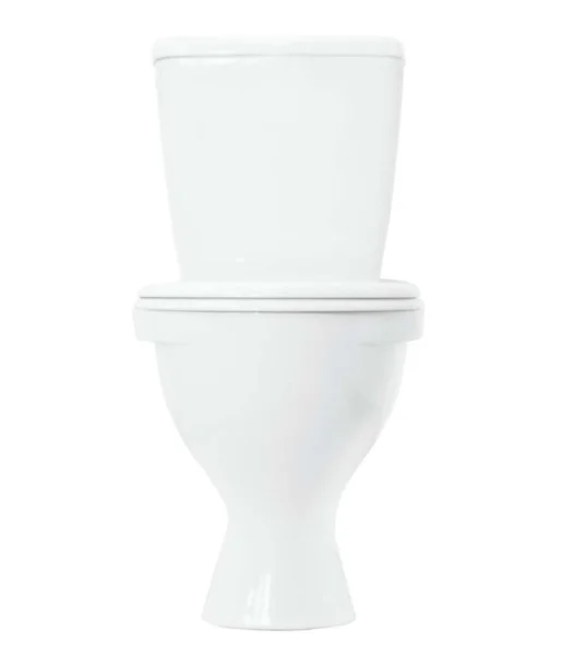 Унитаз-компакт Sanita Эталон ETLSACC01090113